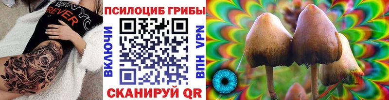 сайты даркнета официальный сайт  Цивильск  Галлюциногенные грибы Cubensis 